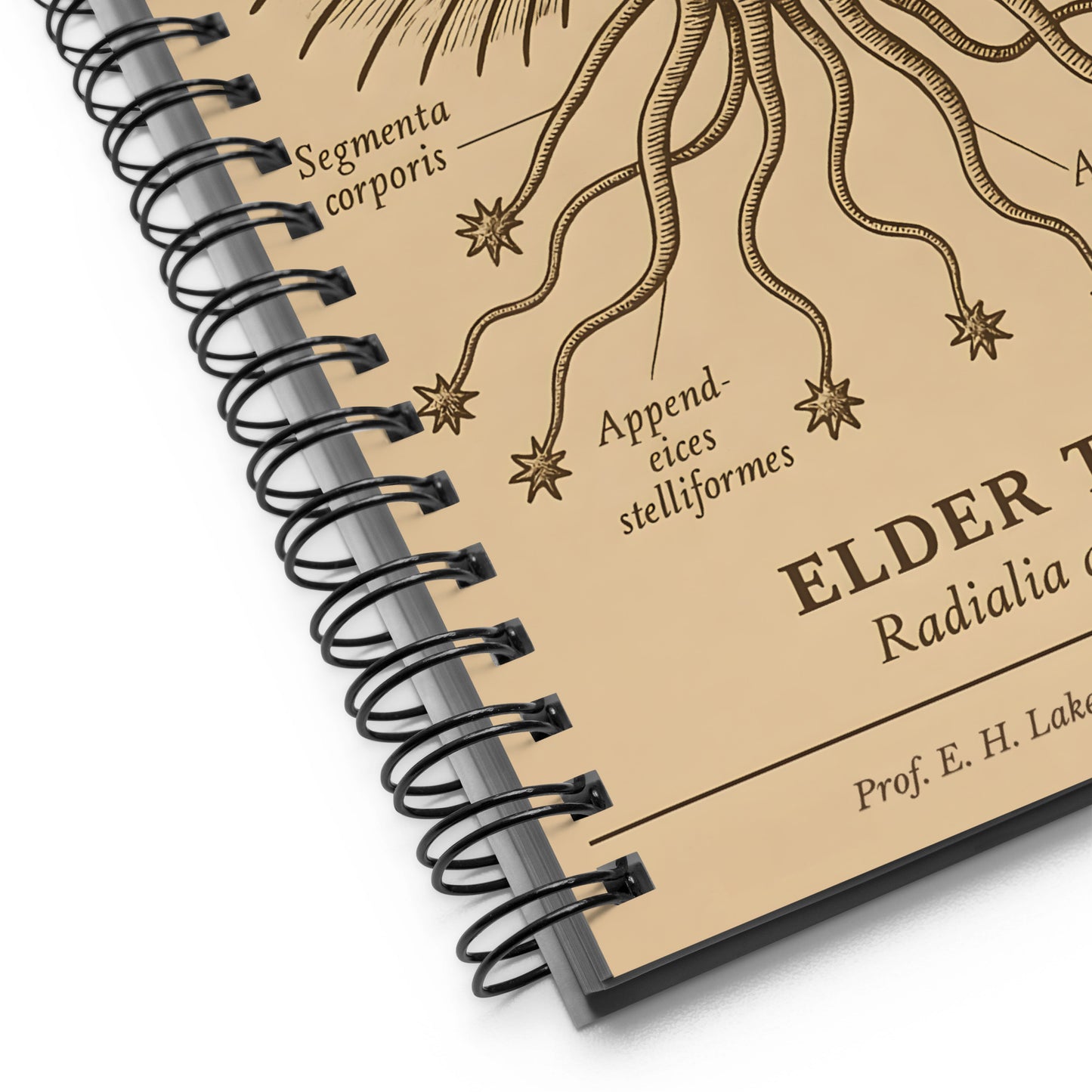 Ejemplar de cosa antigua – Expedición Pabodie, Universidad de Miskatonic (1931) Cuaderno de espiral