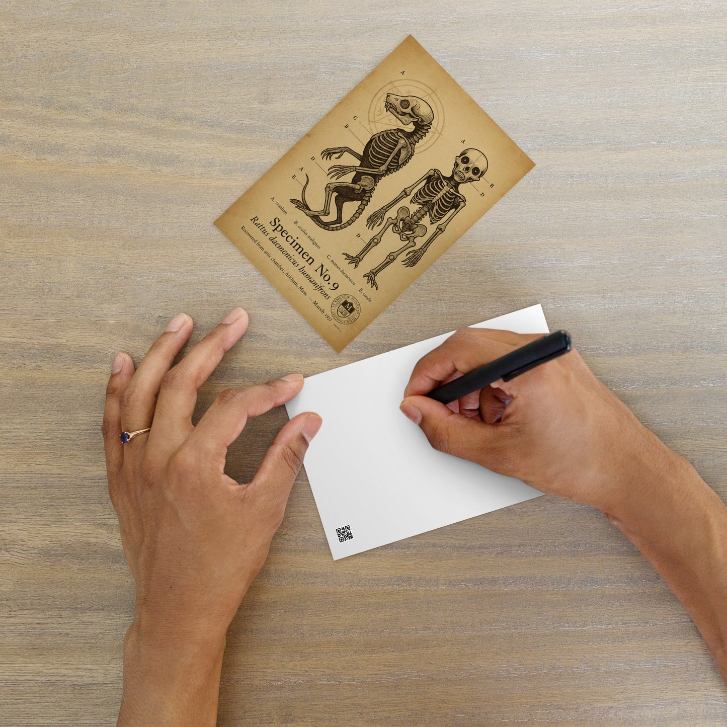 Anatomical Findings: Brown Jenkin Specimen No. 17, Miskatonic Archive Standard Postcard